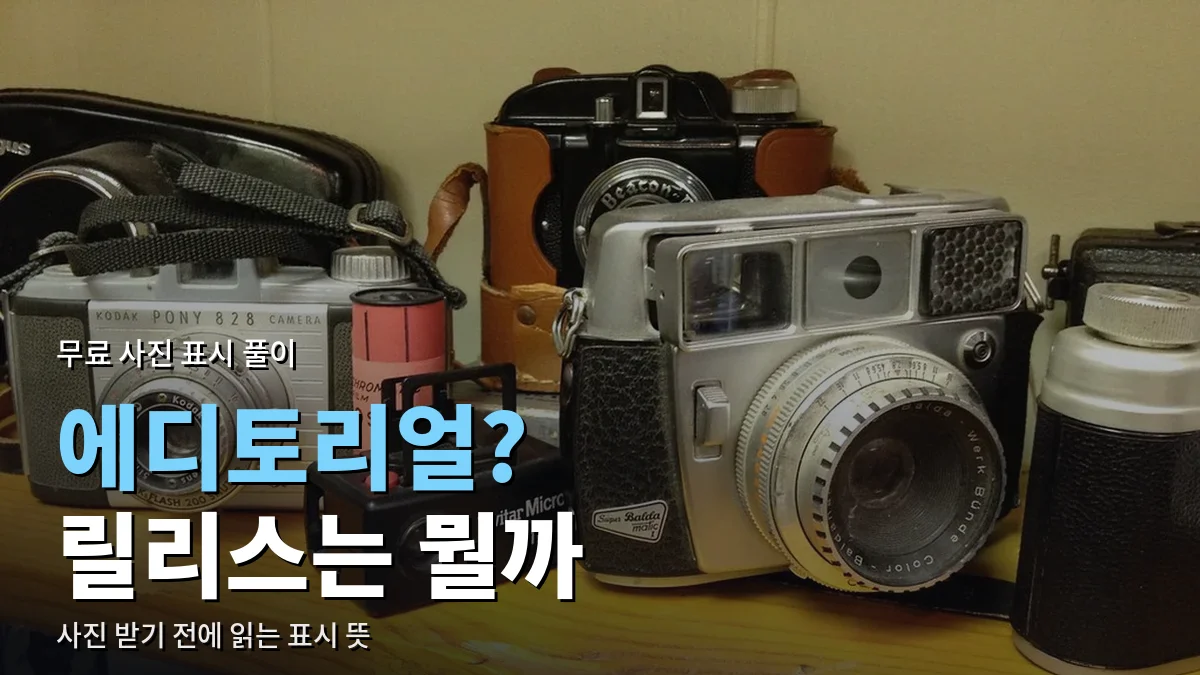 선반 위에 나란히 놓인 오래된 필름 카메라들